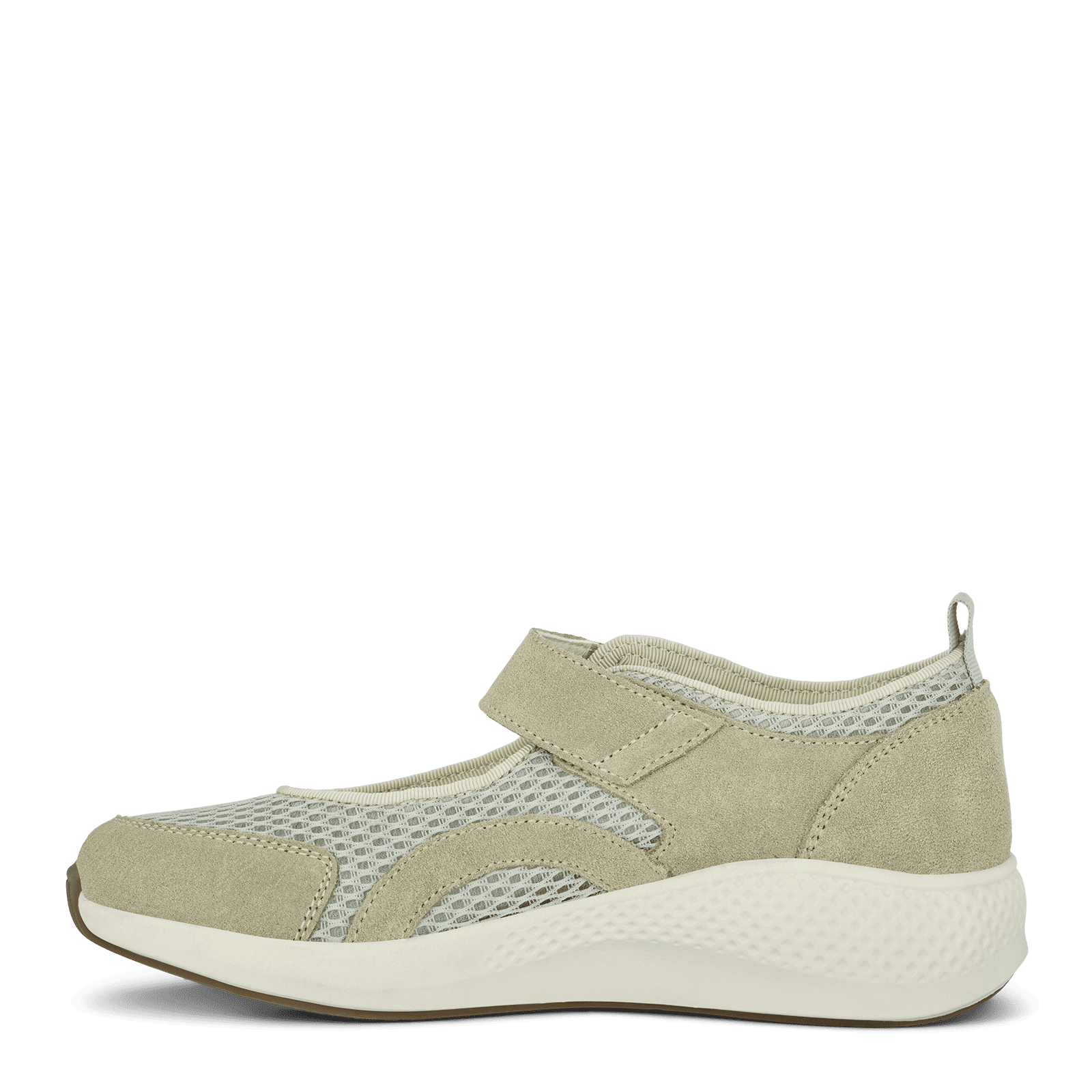 DOLPHIN DAGMAR - SAGE